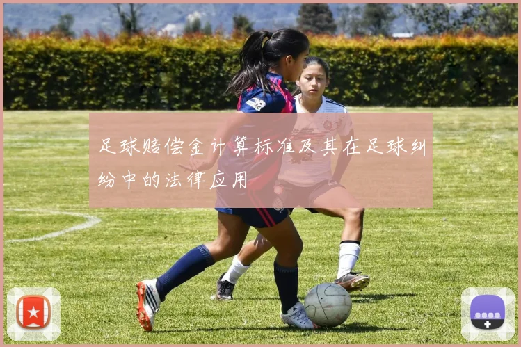 足球赔偿金计算标准及其在足球纠纷中的法律应用